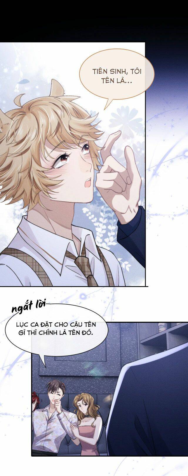 Chấp Sự Thỏ Cụp Tai Chapter 7 - Trang 2