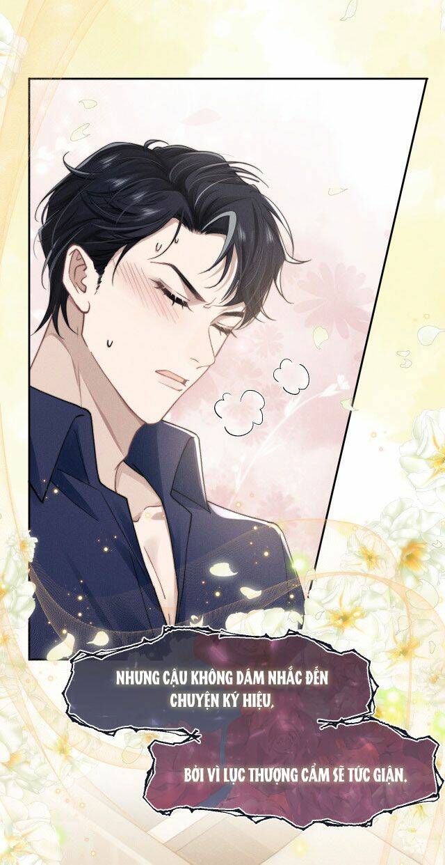 Chấp Sự Thỏ Cụp Tai Chapter 7 - Trang 2