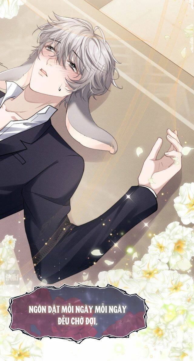 Chấp Sự Thỏ Cụp Tai Chapter 7 - Trang 2