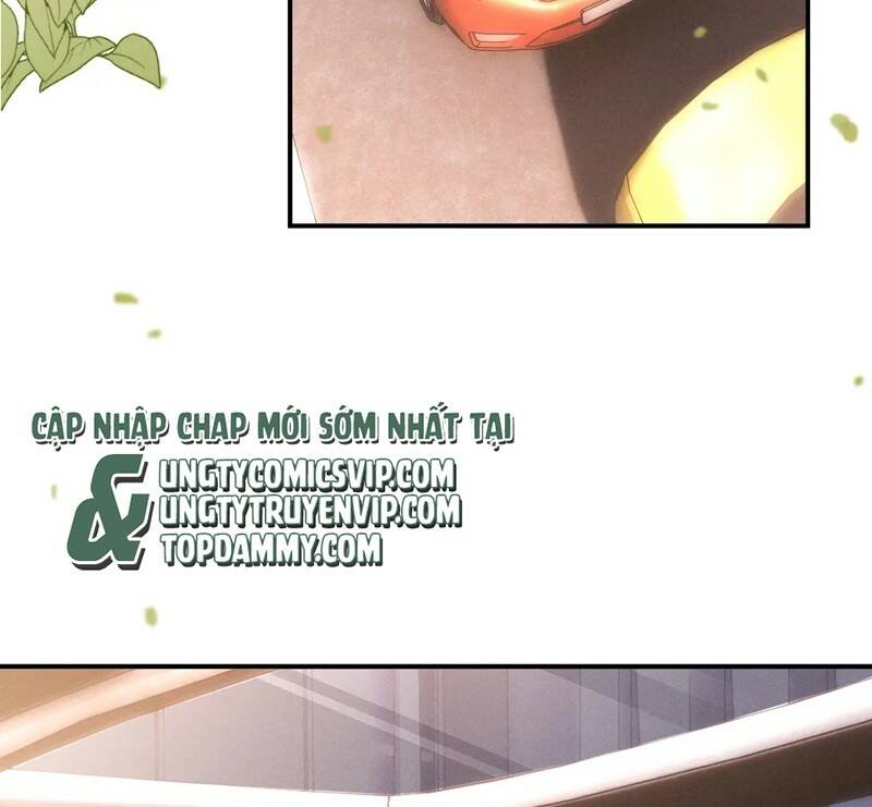 Chấp Sự Thỏ Cụp Tai Chapter 79 - Trang 2