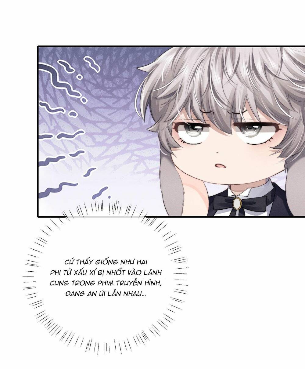 Chấp Sự Thỏ Cụp Tai Chapter 8 - Trang 2