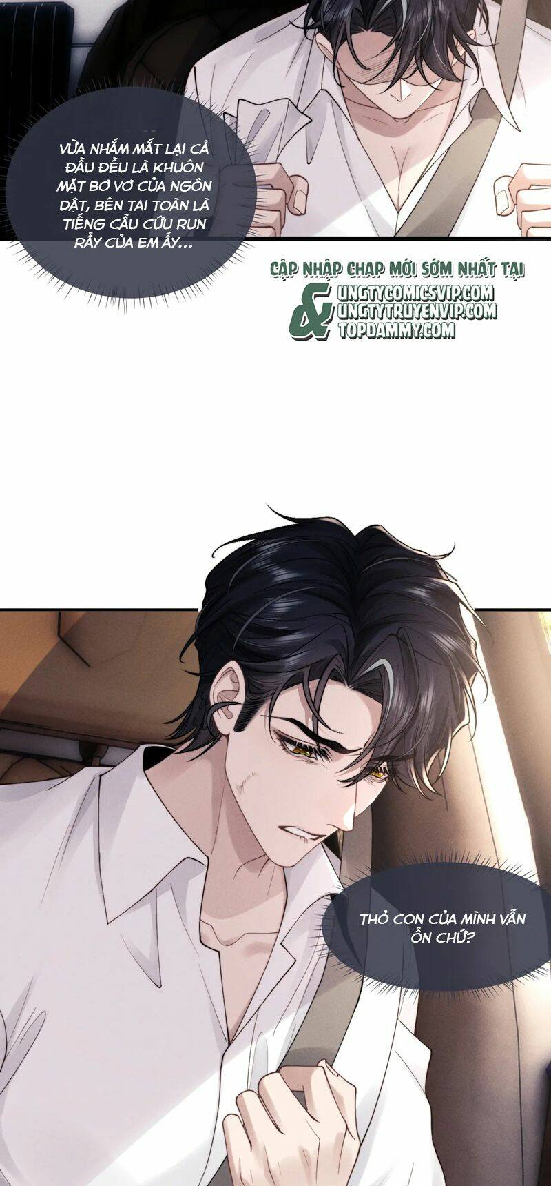 Chấp Sự Thỏ Cụp Tai Chapter 82 - Trang 2