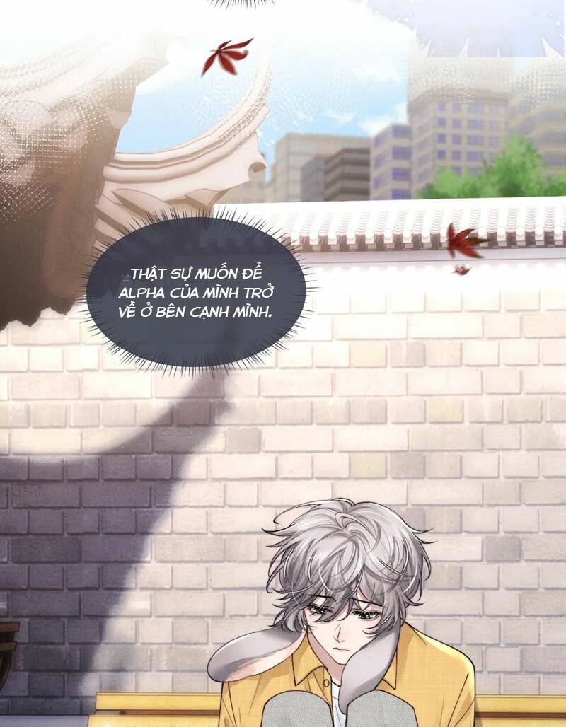 Chấp Sự Thỏ Cụp Tai Chapter 85 - Trang 2