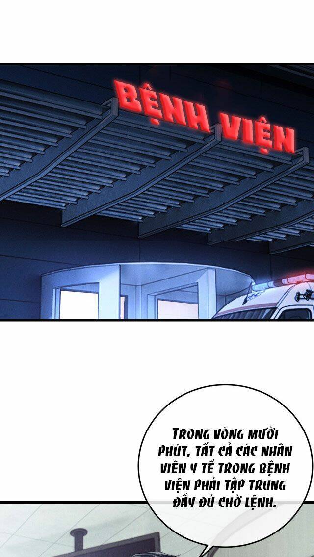 Chấp Sự Thỏ Cụp Tai Chapter 9 - Trang 2