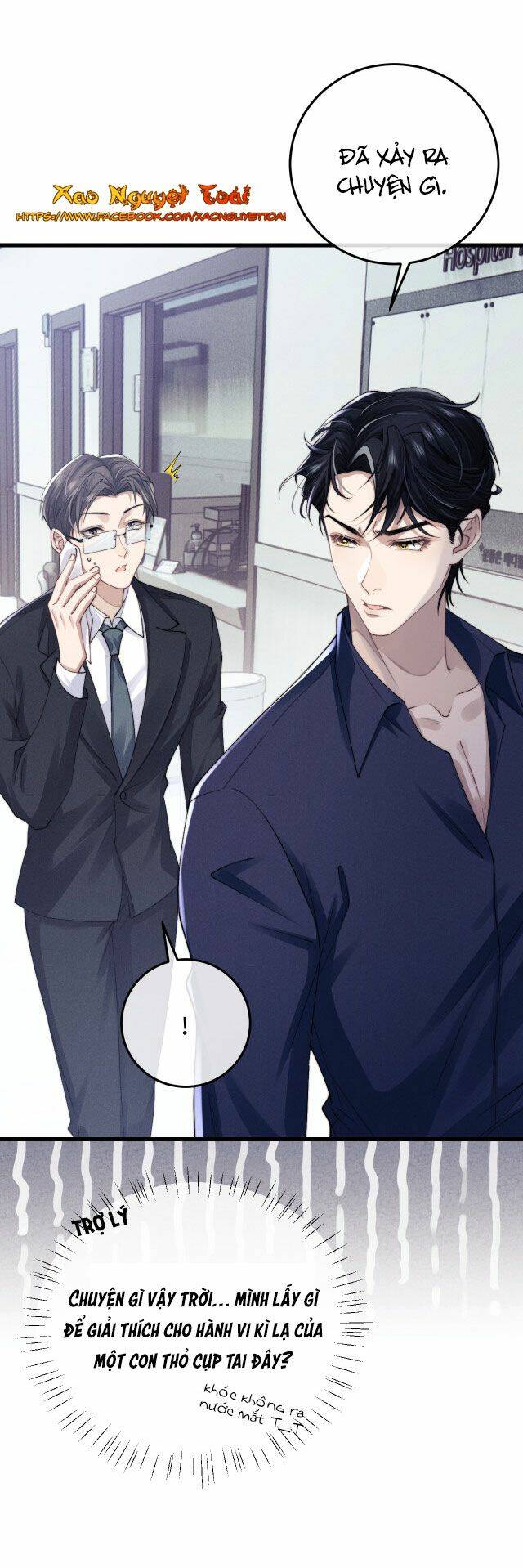 Chấp Sự Thỏ Cụp Tai Chapter 9 - Trang 2