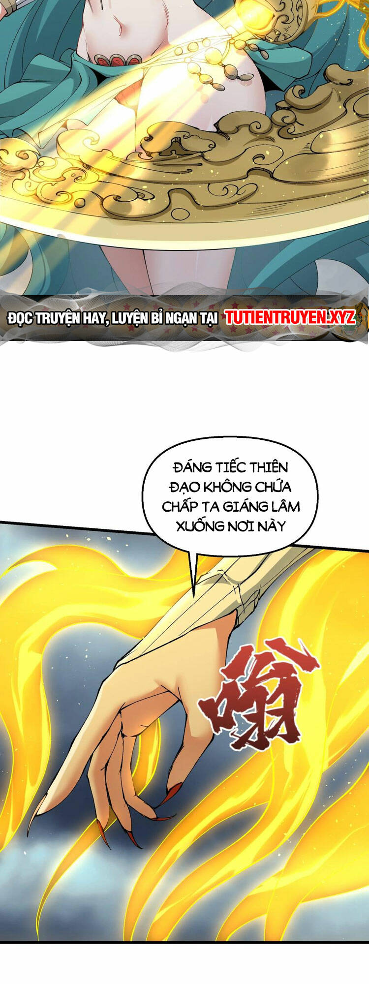 Chặt Củi 10 Năm, Tiên Tử Cầu Xin Ta Thu Nàng Làm Đồ Đệ Chapter 35 - Trang 2