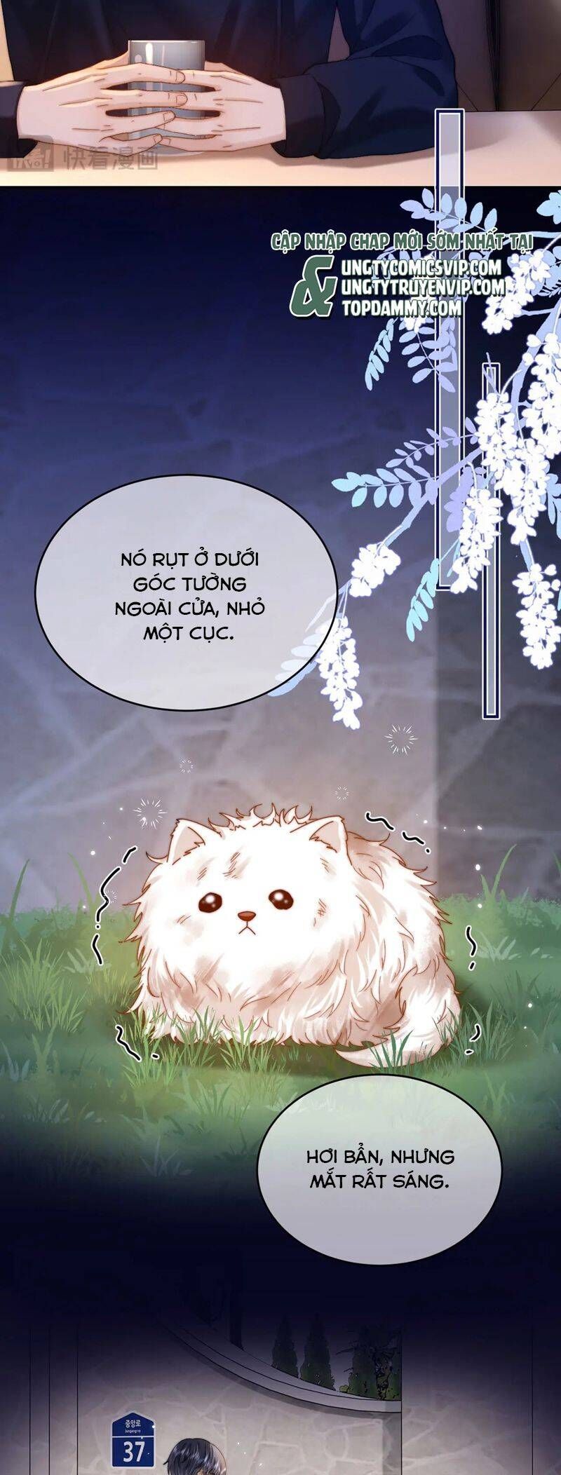 Chất Dị Ứng Đáng Yêu Chapter 52.8 - Trang 2