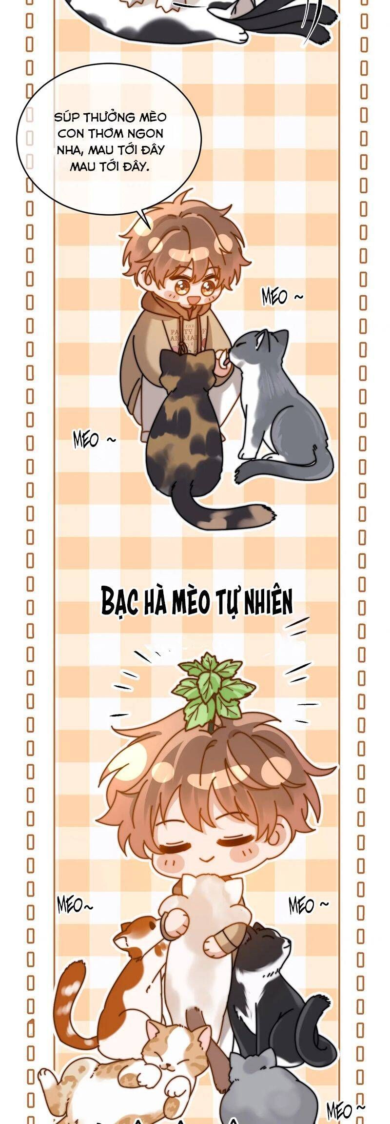 Chất Dị Ứng Đáng Yêu Chapter 61.3 - Trang 2