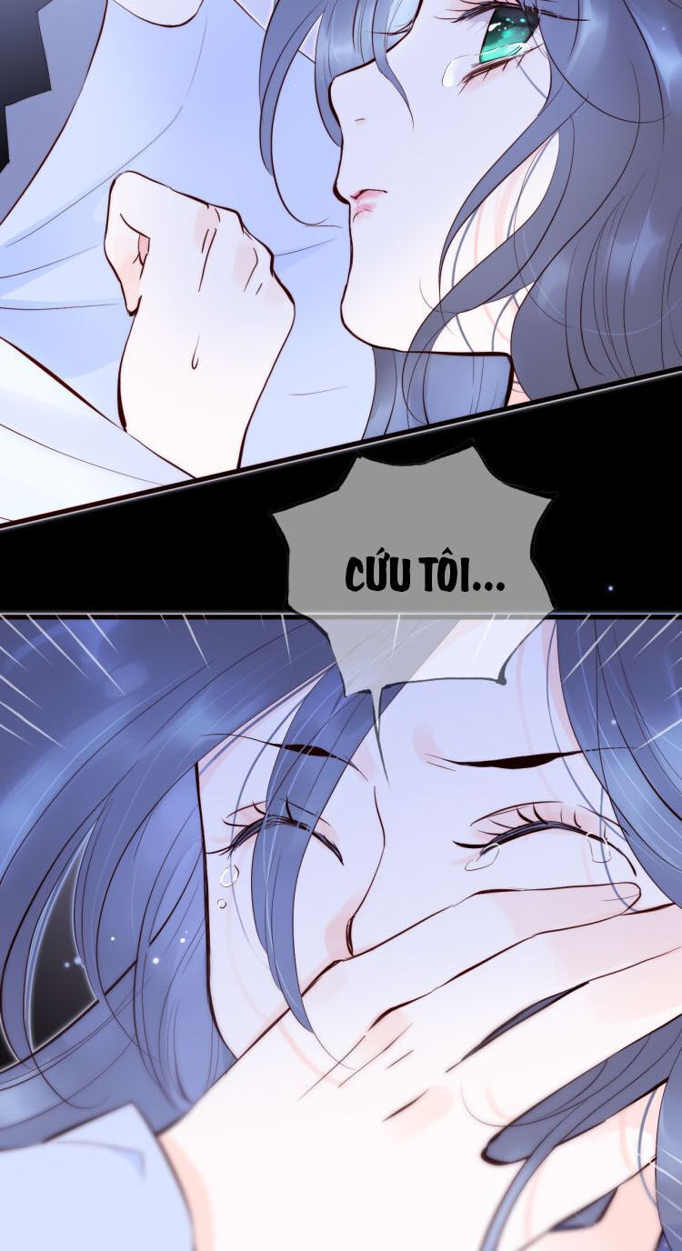 Chạy Trốn Cùng Con Nhím Chapter 1 - Trang 2