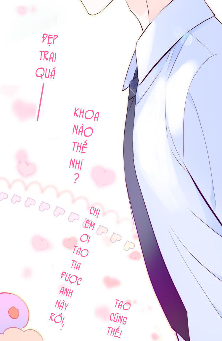 Chạy Trốn Cùng Con Nhím Chapter 1 - Trang 2