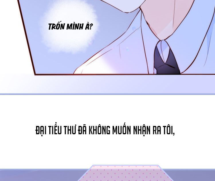 Chạy Trốn Cùng Con Nhím Chapter 1 - Trang 2