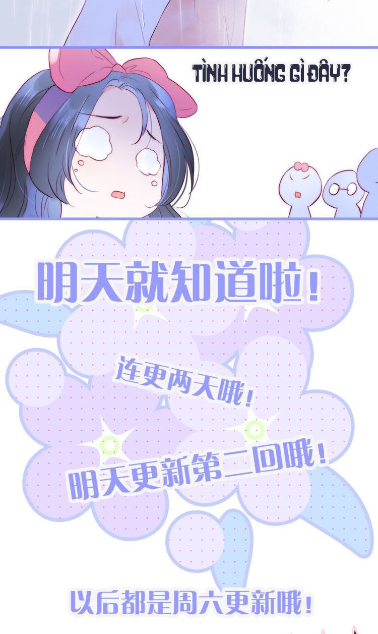 Chạy Trốn Cùng Con Nhím Chapter 1 - Trang 2