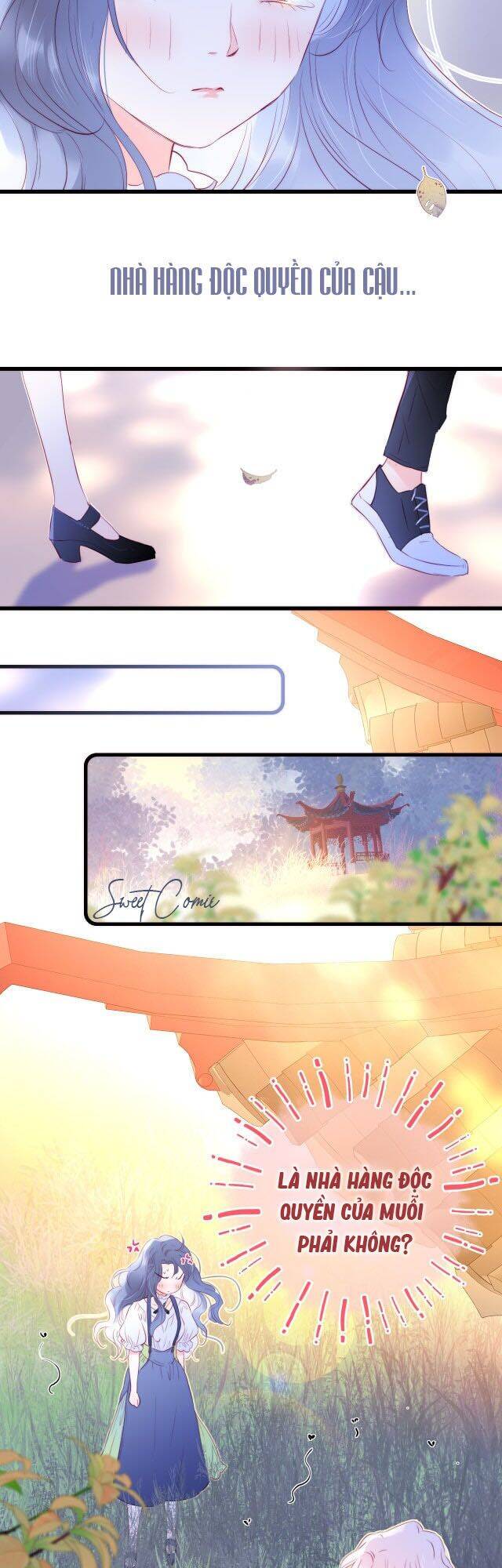 Chạy Trốn Cùng Con Nhím Chapter 10 - Trang 2