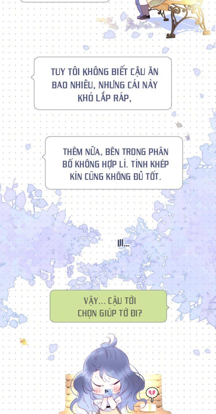 Chạy Trốn Cùng Con Nhím Chapter 13 - Trang 2