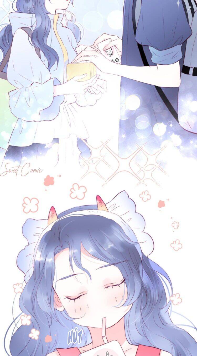 Chạy Trốn Cùng Con Nhím Chapter 13 - Trang 2