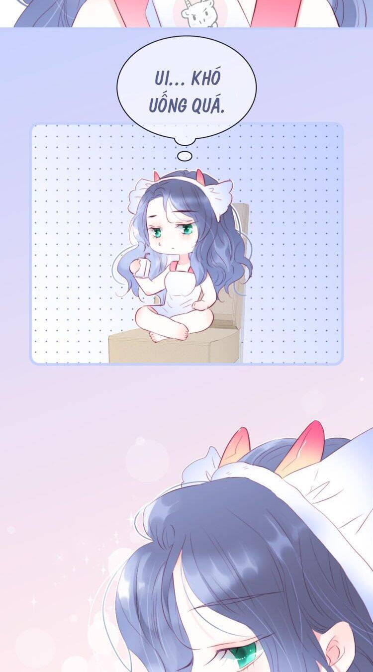 Chạy Trốn Cùng Con Nhím Chapter 13 - Trang 2