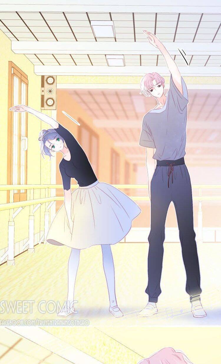 Chạy Trốn Cùng Con Nhím Chapter 16 - Trang 2