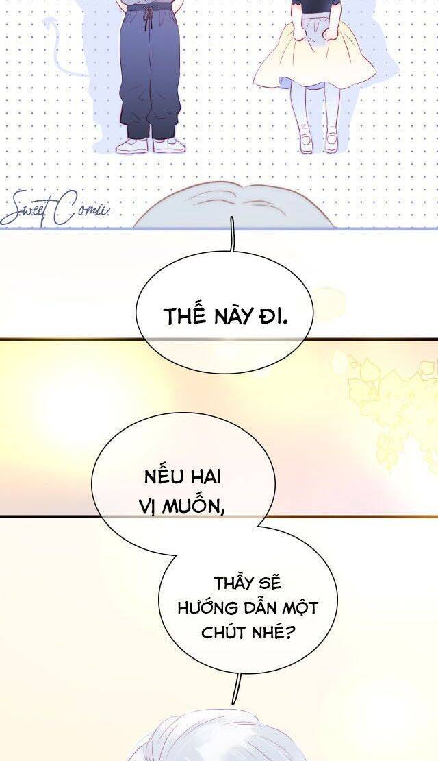 Chạy Trốn Cùng Con Nhím Chapter 17 - Trang 2