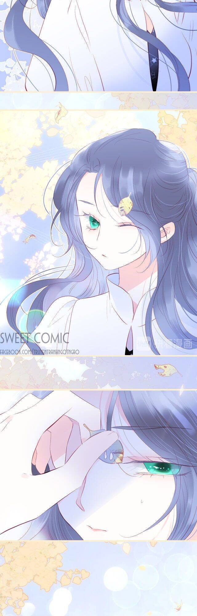 Chạy Trốn Cùng Con Nhím Chapter 18 - Trang 2