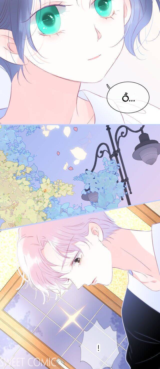 Chạy Trốn Cùng Con Nhím Chapter 19 - Trang 2