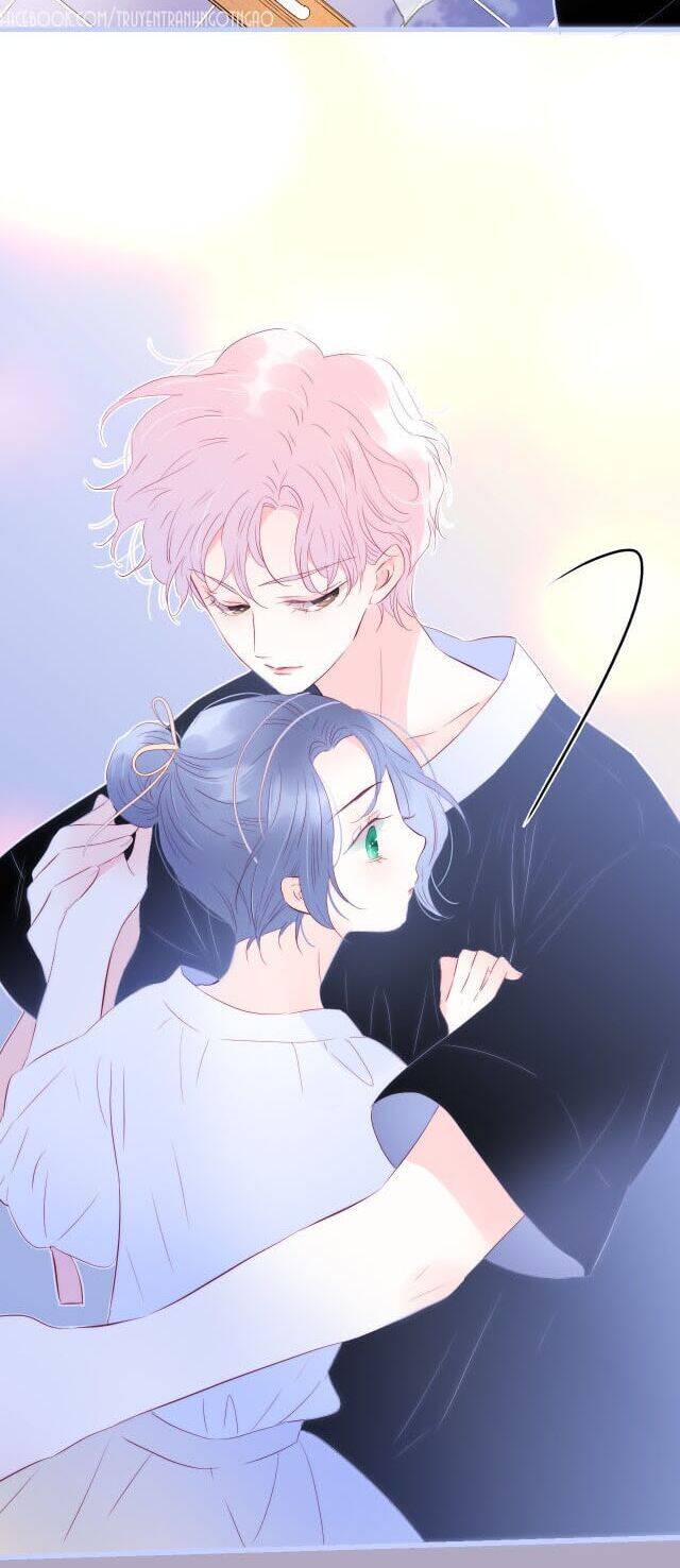 Chạy Trốn Cùng Con Nhím Chapter 19 - Trang 2