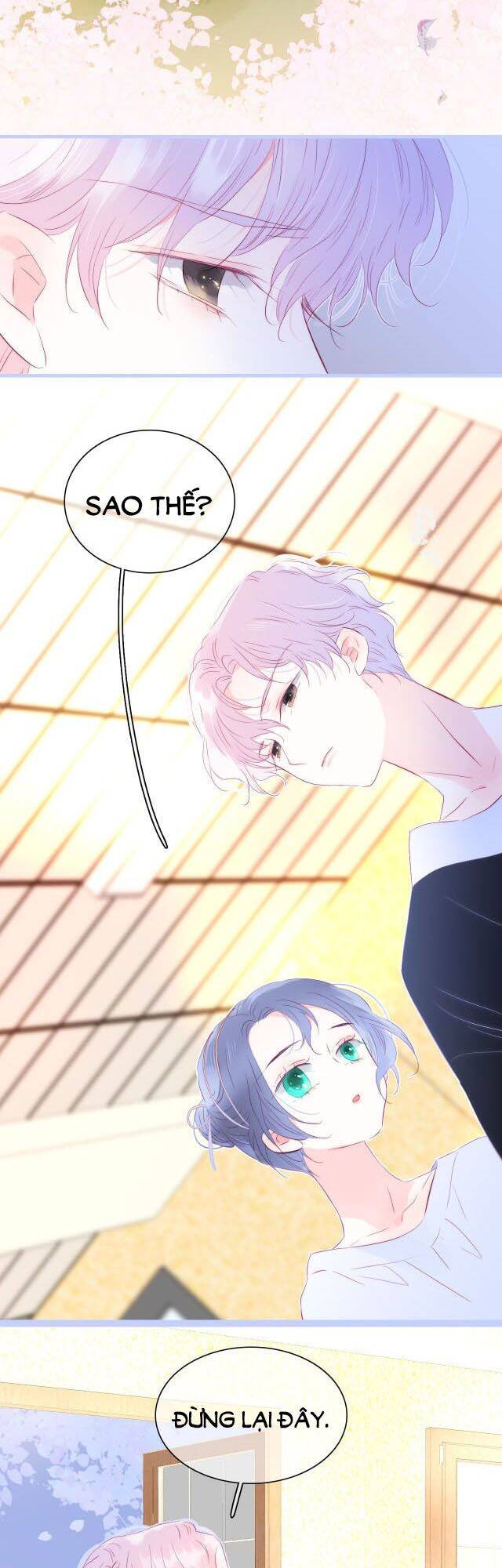 Chạy Trốn Cùng Con Nhím Chapter 19 - Trang 2