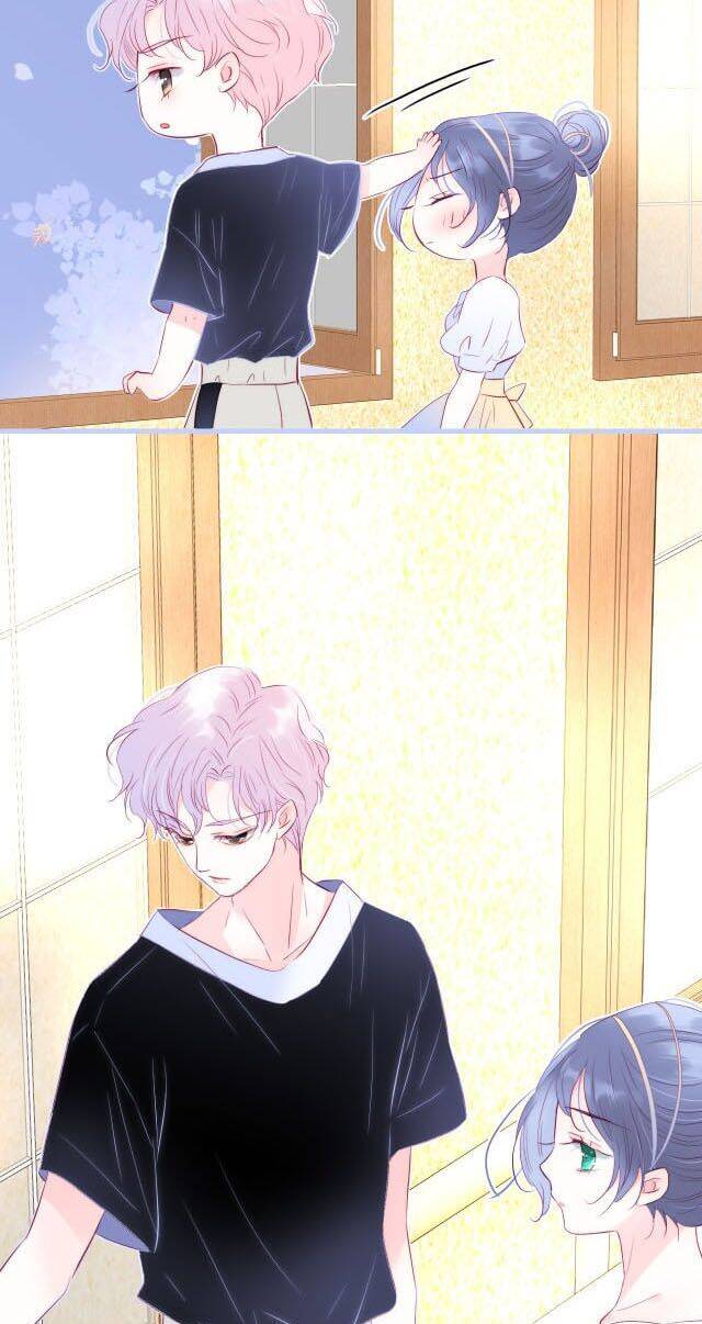 Chạy Trốn Cùng Con Nhím Chapter 19 - Trang 2