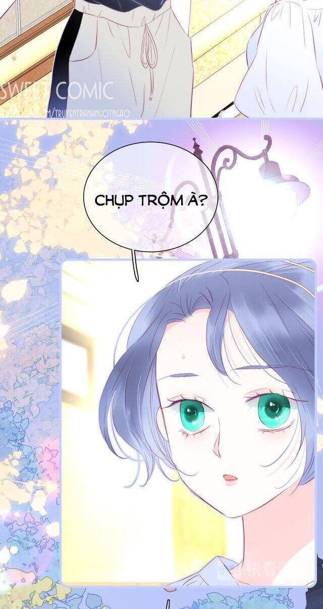 Chạy Trốn Cùng Con Nhím Chapter 19 - Trang 2