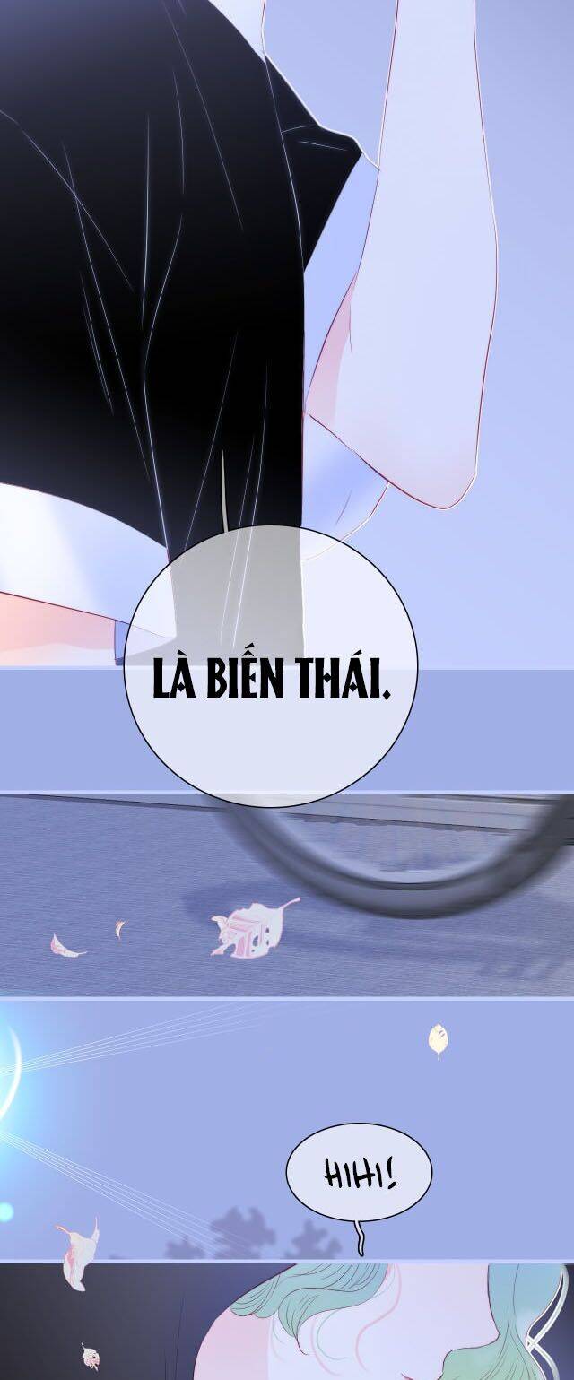 Chạy Trốn Cùng Con Nhím Chapter 19 - Trang 2