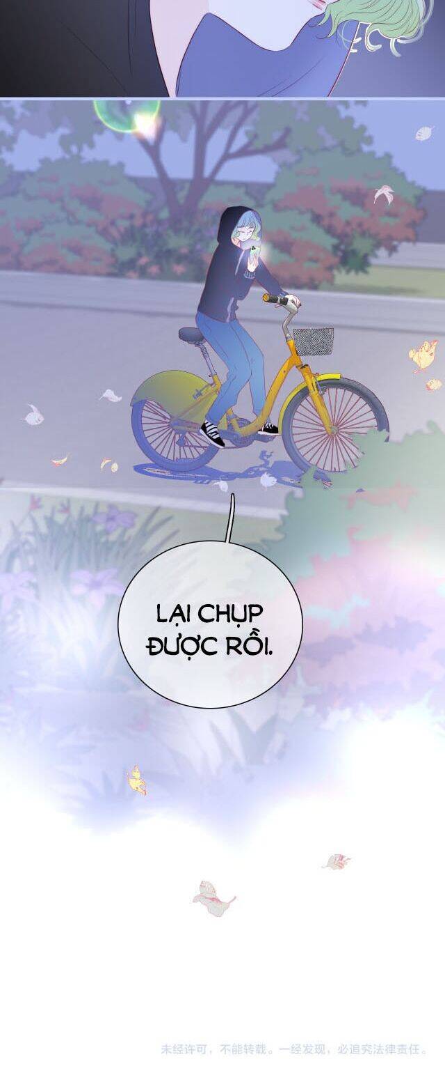 Chạy Trốn Cùng Con Nhím Chapter 19 - Trang 2