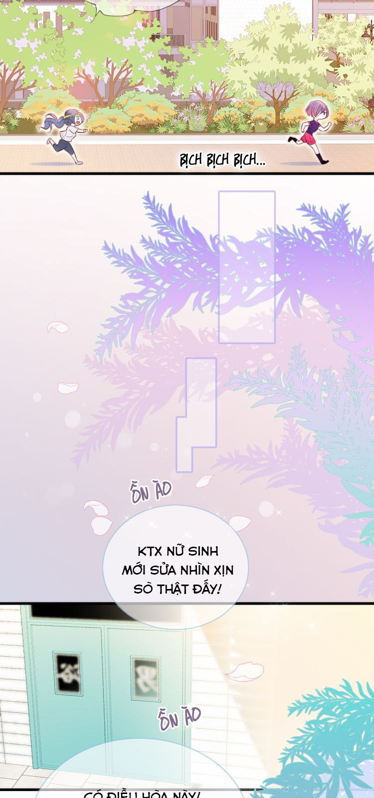 Chạy Trốn Cùng Con Nhím Chapter 2 - Trang 2