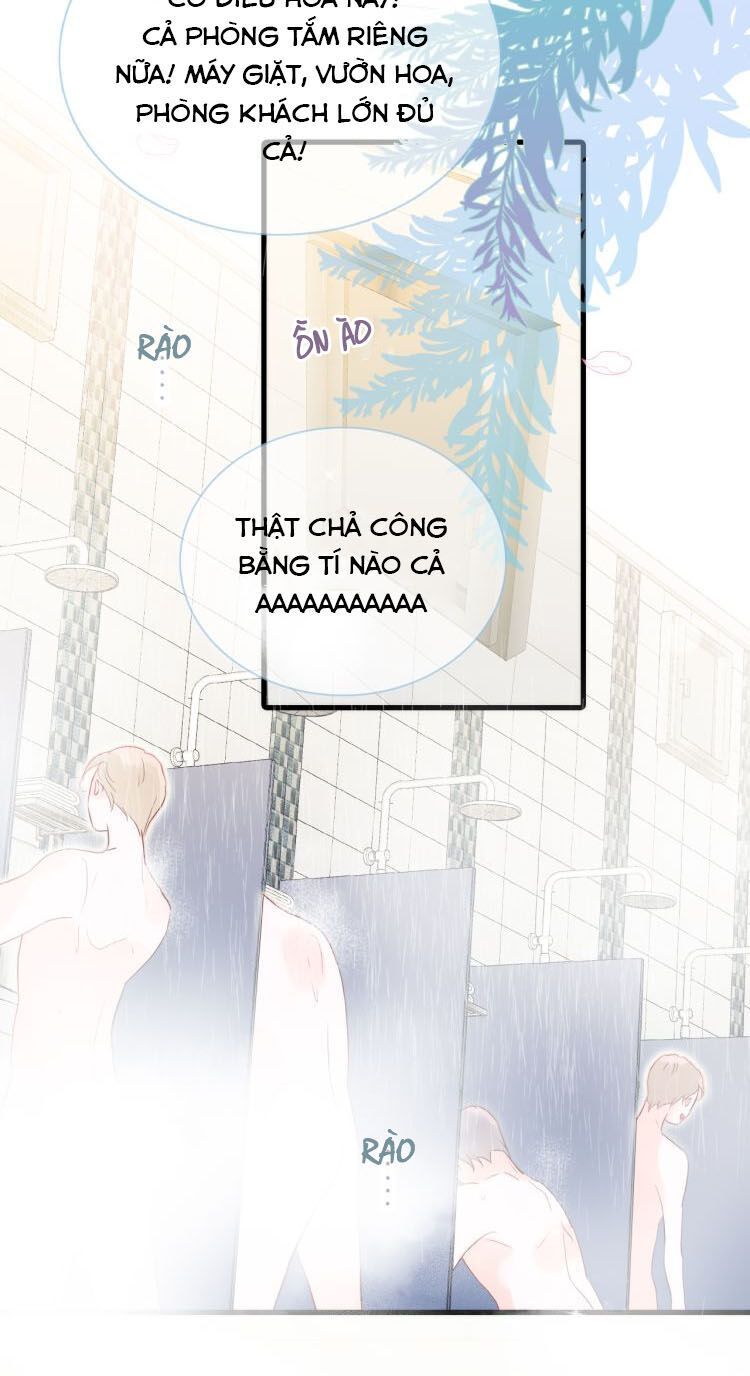 Chạy Trốn Cùng Con Nhím Chapter 2 - Trang 2