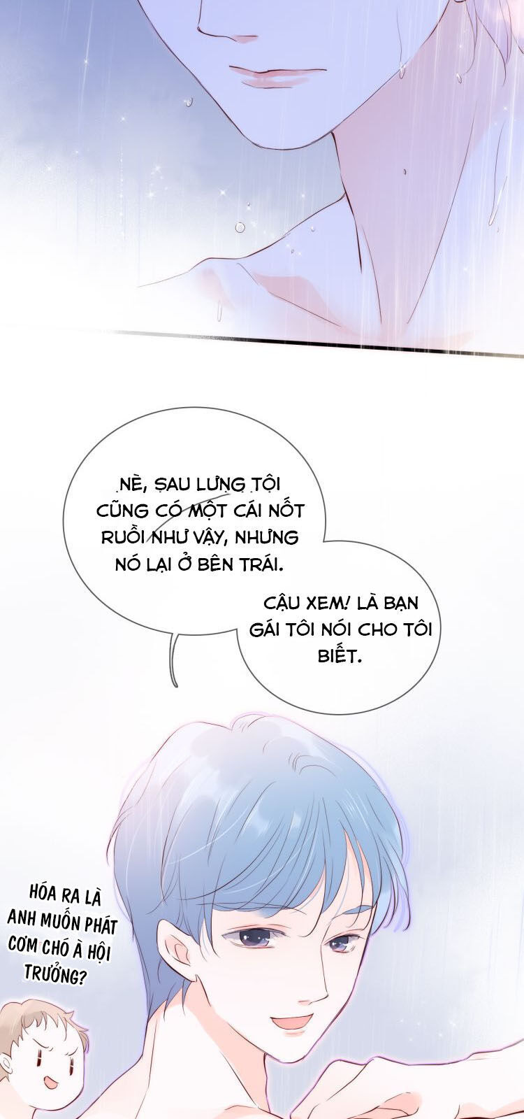 Chạy Trốn Cùng Con Nhím Chapter 2 - Trang 2