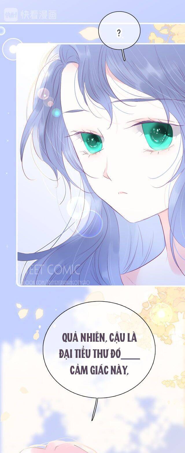 Chạy Trốn Cùng Con Nhím Chapter 20 - Trang 2