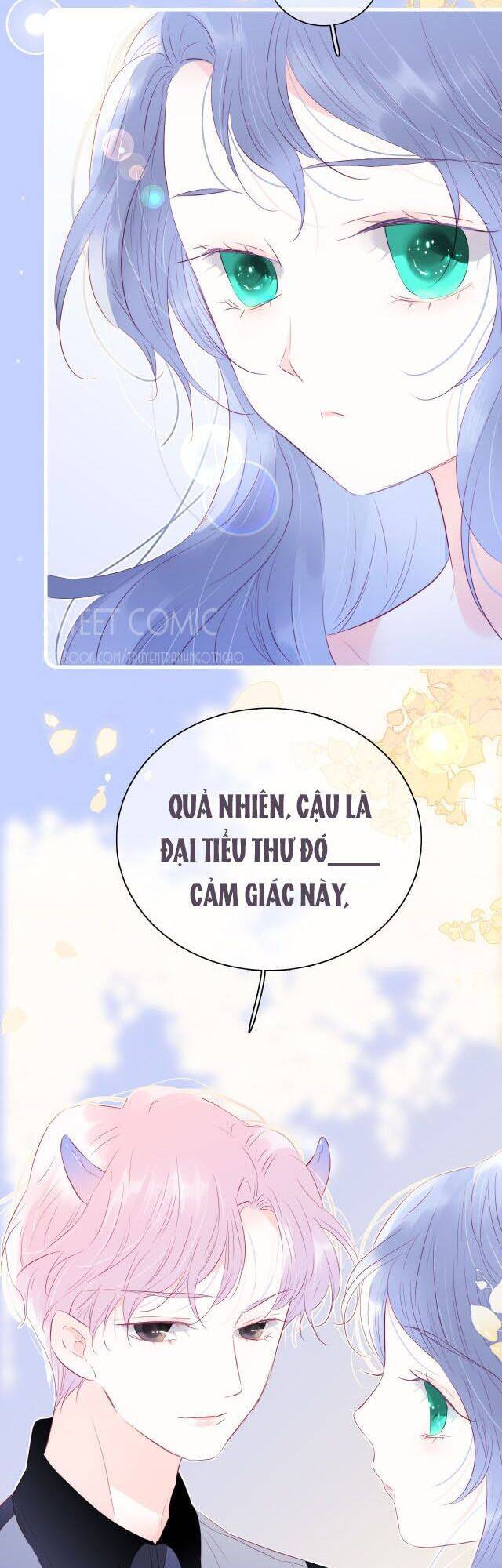 Chạy Trốn Cùng Con Nhím Chapter 21 - Trang 2