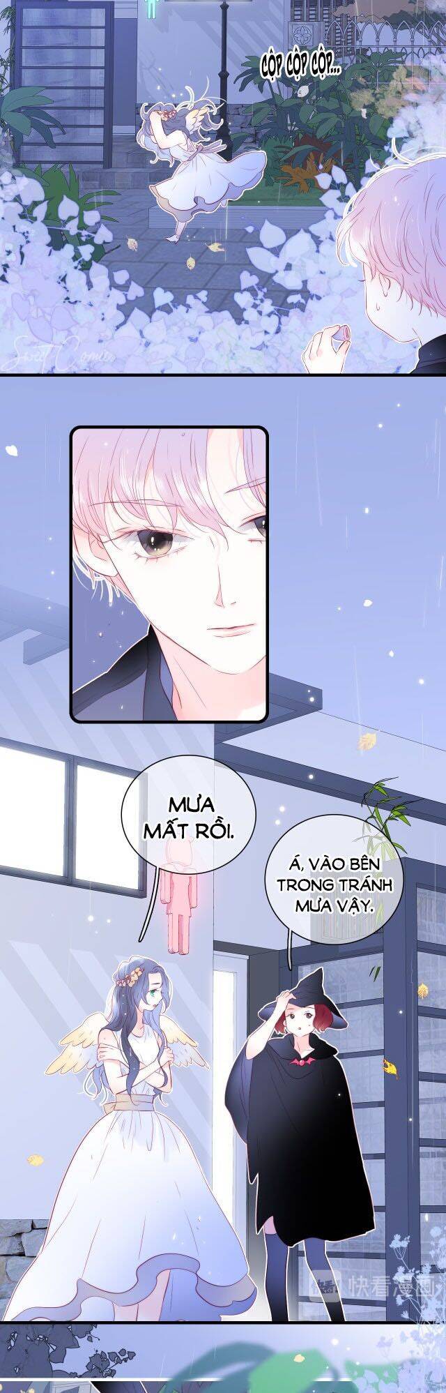 Chạy Trốn Cùng Con Nhím Chapter 23 - Trang 2