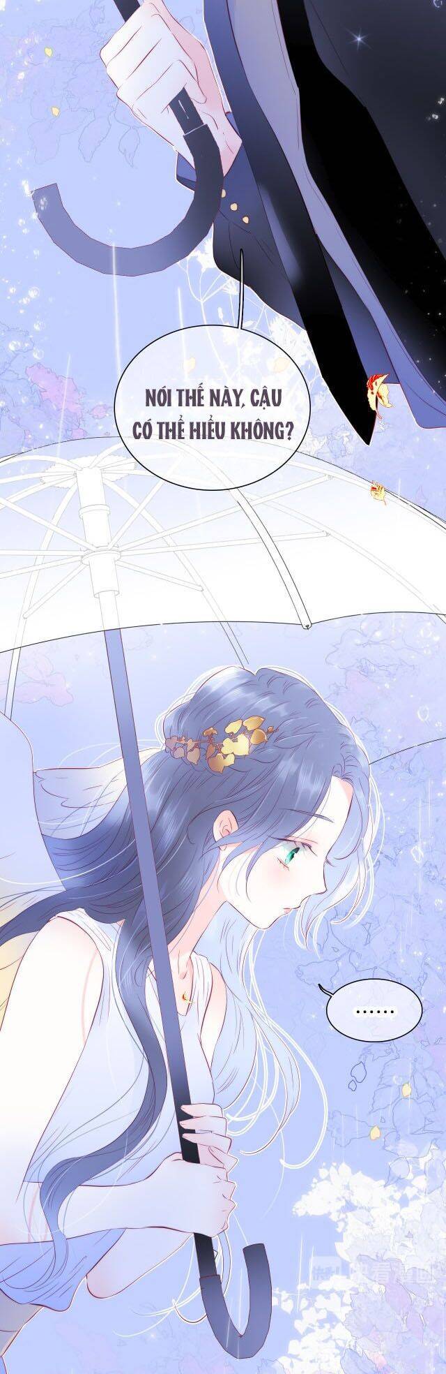 Chạy Trốn Cùng Con Nhím Chapter 23 - Trang 2