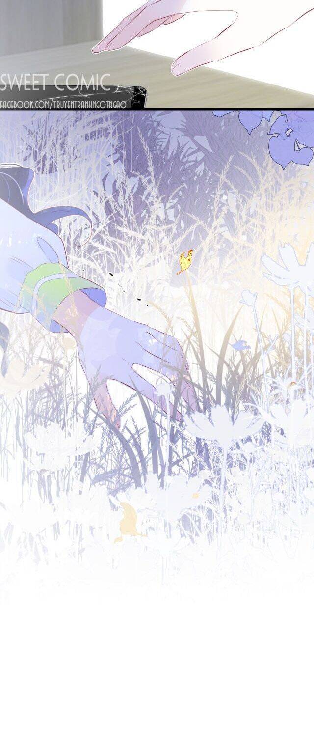 Chạy Trốn Cùng Con Nhím Chapter 24 - Trang 2