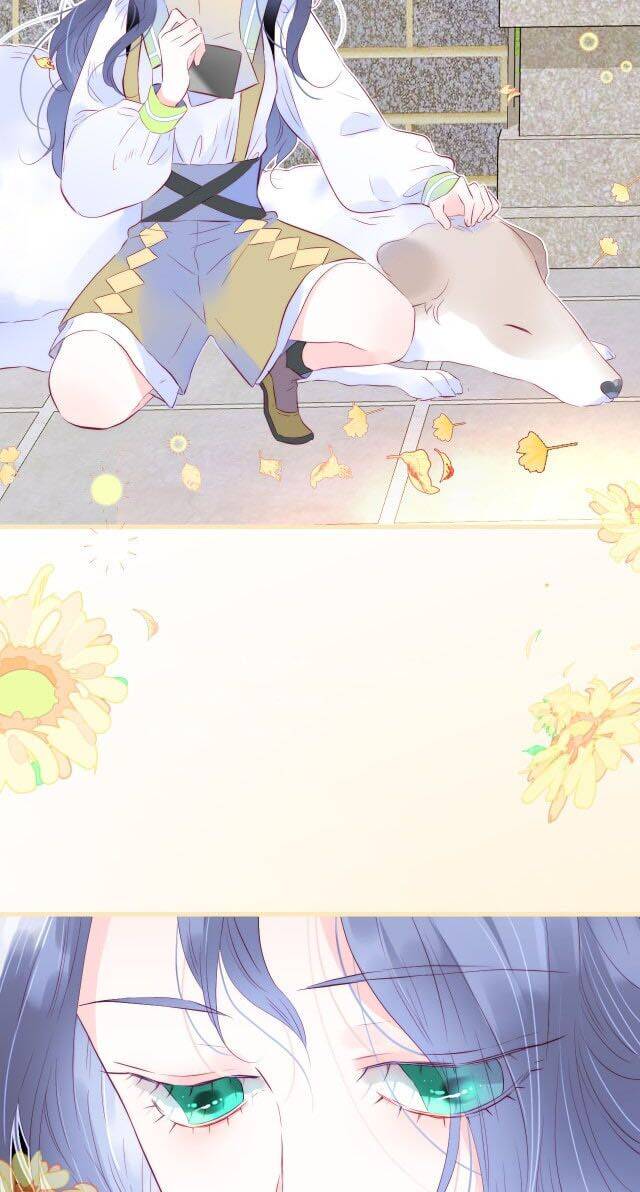 Chạy Trốn Cùng Con Nhím Chapter 24 - Trang 2