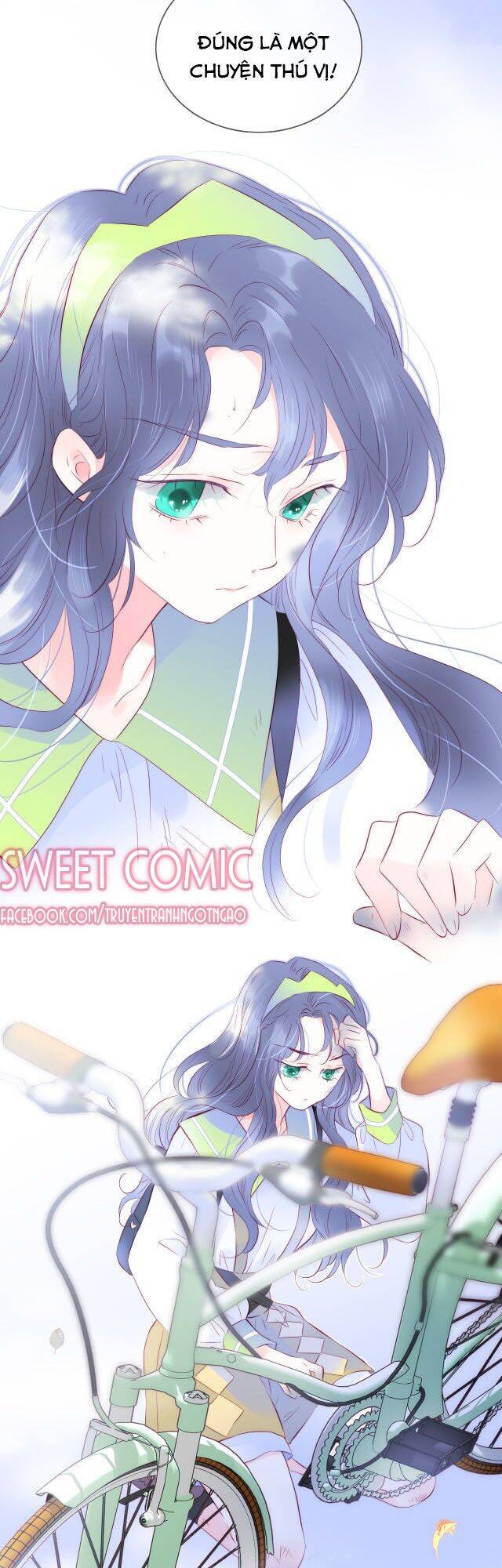 Chạy Trốn Cùng Con Nhím Chapter 25 - Trang 2