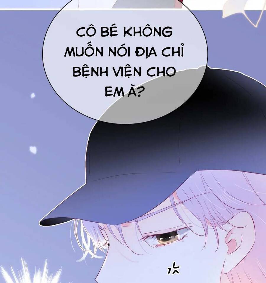 Chạy Trốn Cùng Con Nhím Chapter 26 - Trang 2
