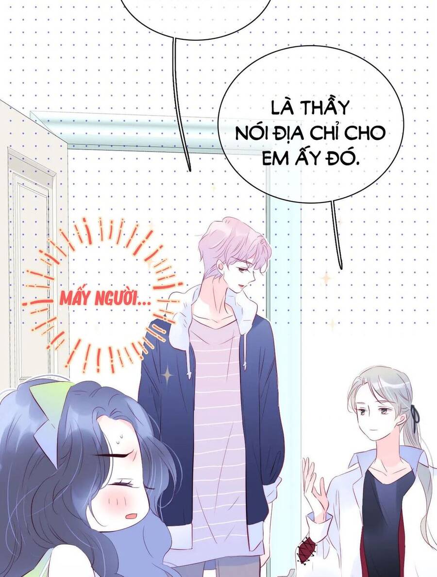 Chạy Trốn Cùng Con Nhím Chapter 27 - Trang 2