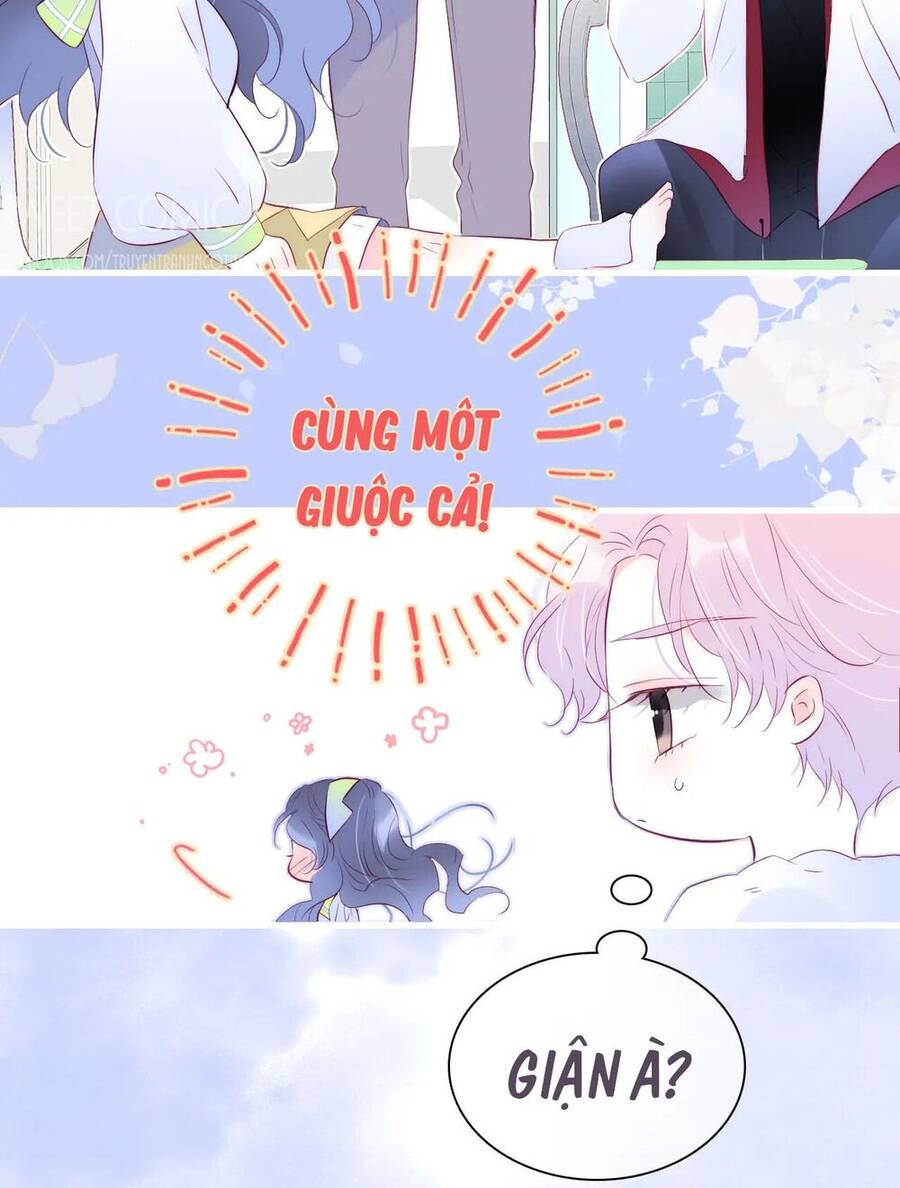 Chạy Trốn Cùng Con Nhím Chapter 27 - Trang 2