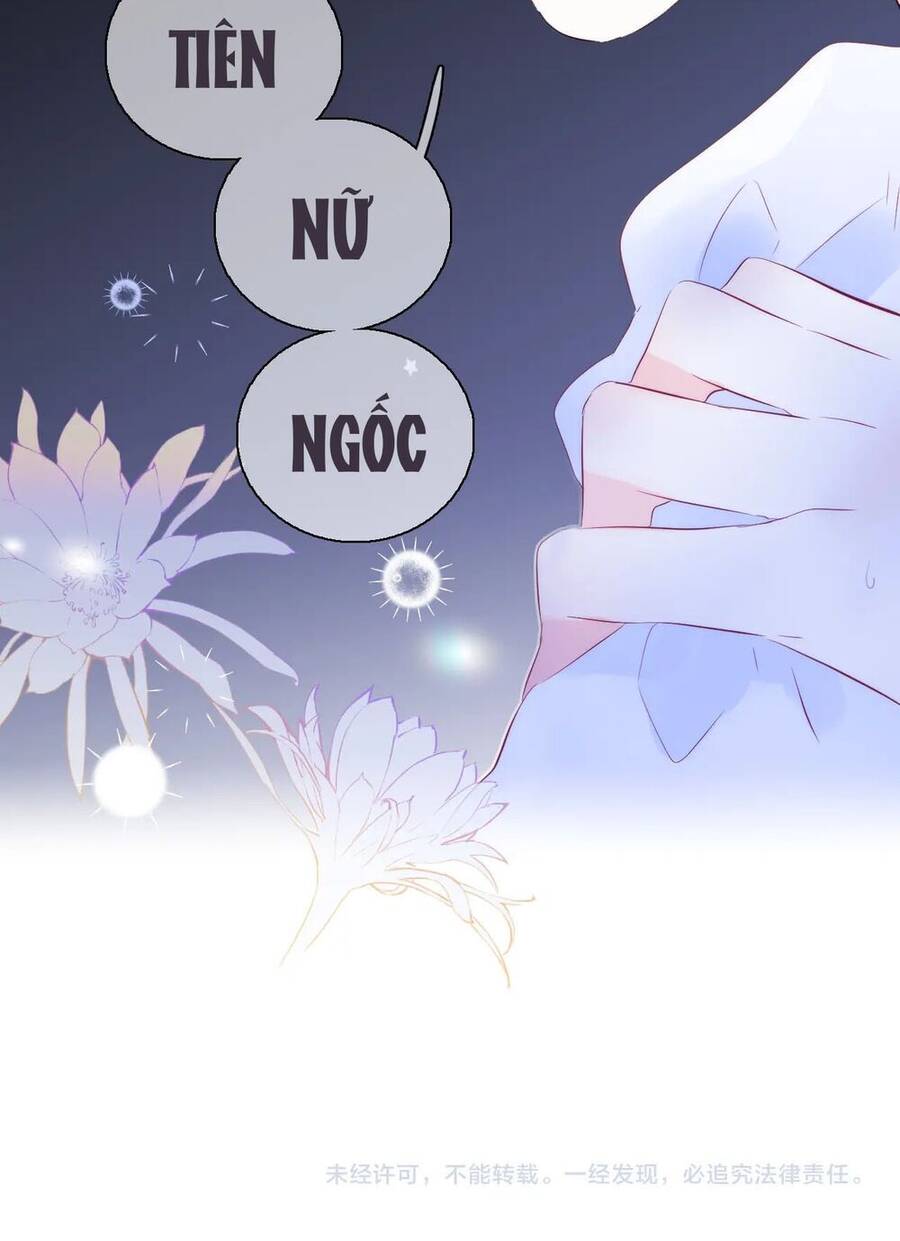 Chạy Trốn Cùng Con Nhím Chapter 27 - Trang 2