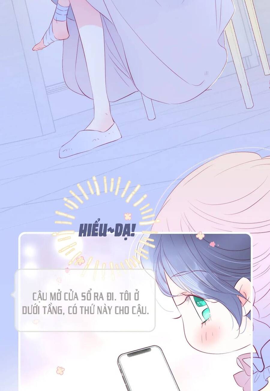 Chạy Trốn Cùng Con Nhím Chapter 29 - Trang 2