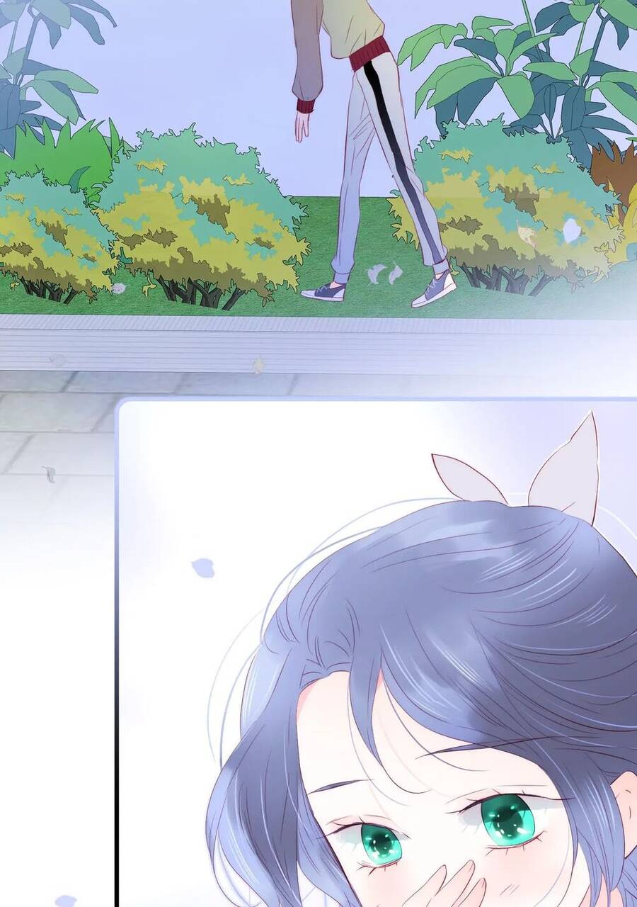 Chạy Trốn Cùng Con Nhím Chapter 29 - Trang 2