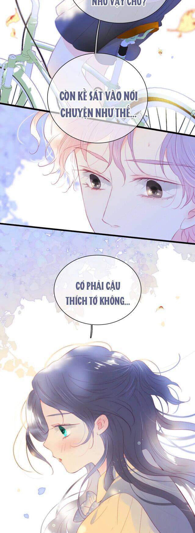 Chạy Trốn Cùng Con Nhím Chapter 31 - Trang 2