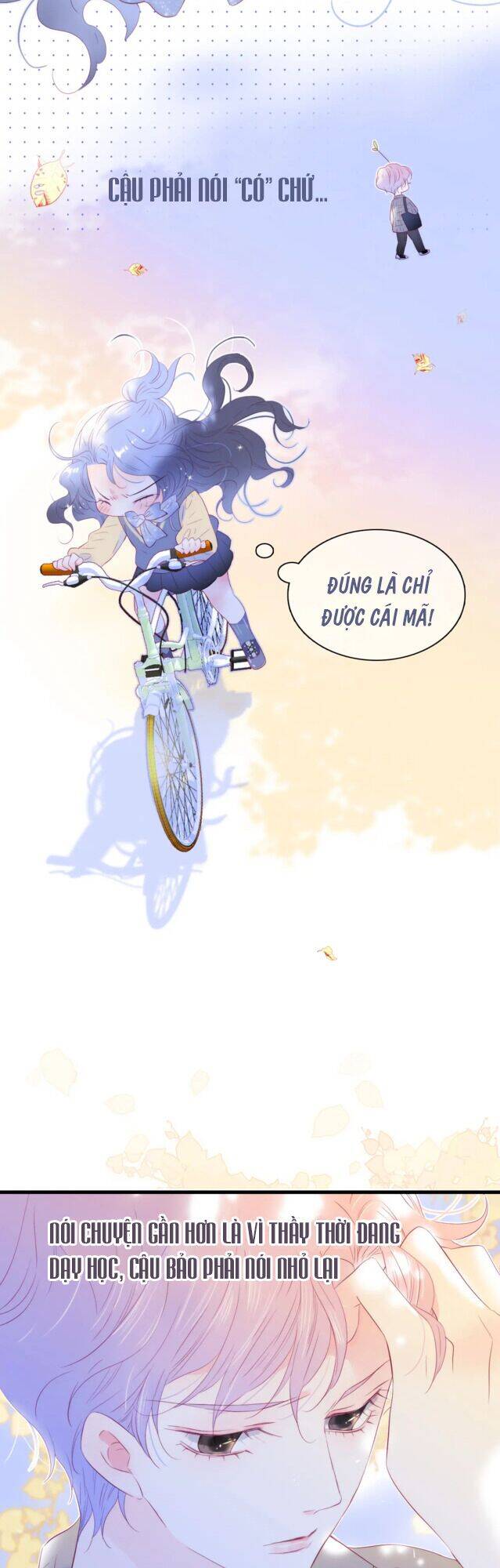 Chạy Trốn Cùng Con Nhím Chapter 31 - Trang 2