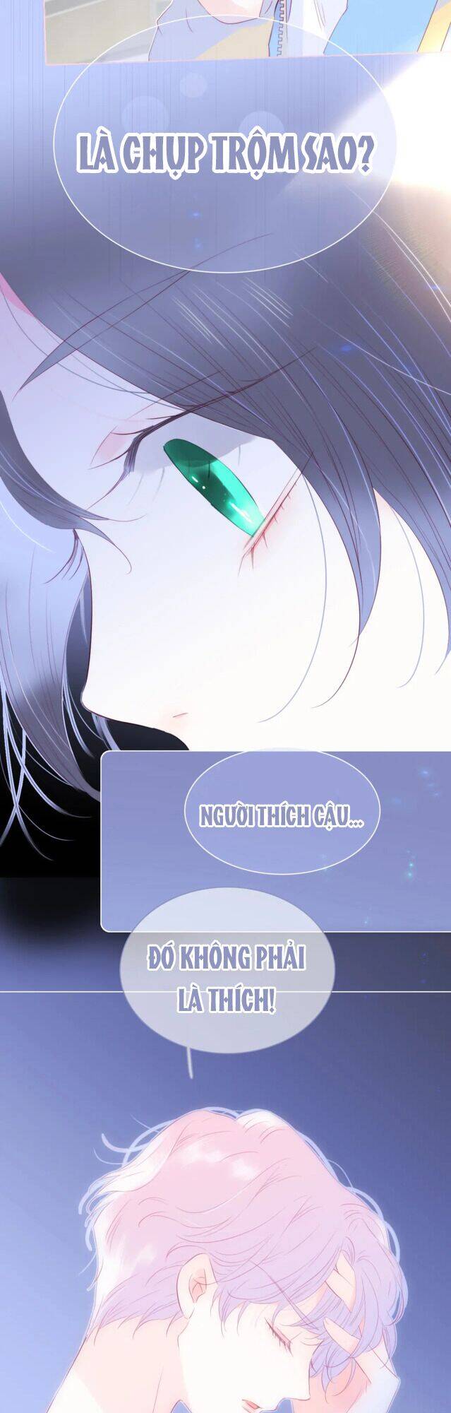 Chạy Trốn Cùng Con Nhím Chapter 31 - Trang 2