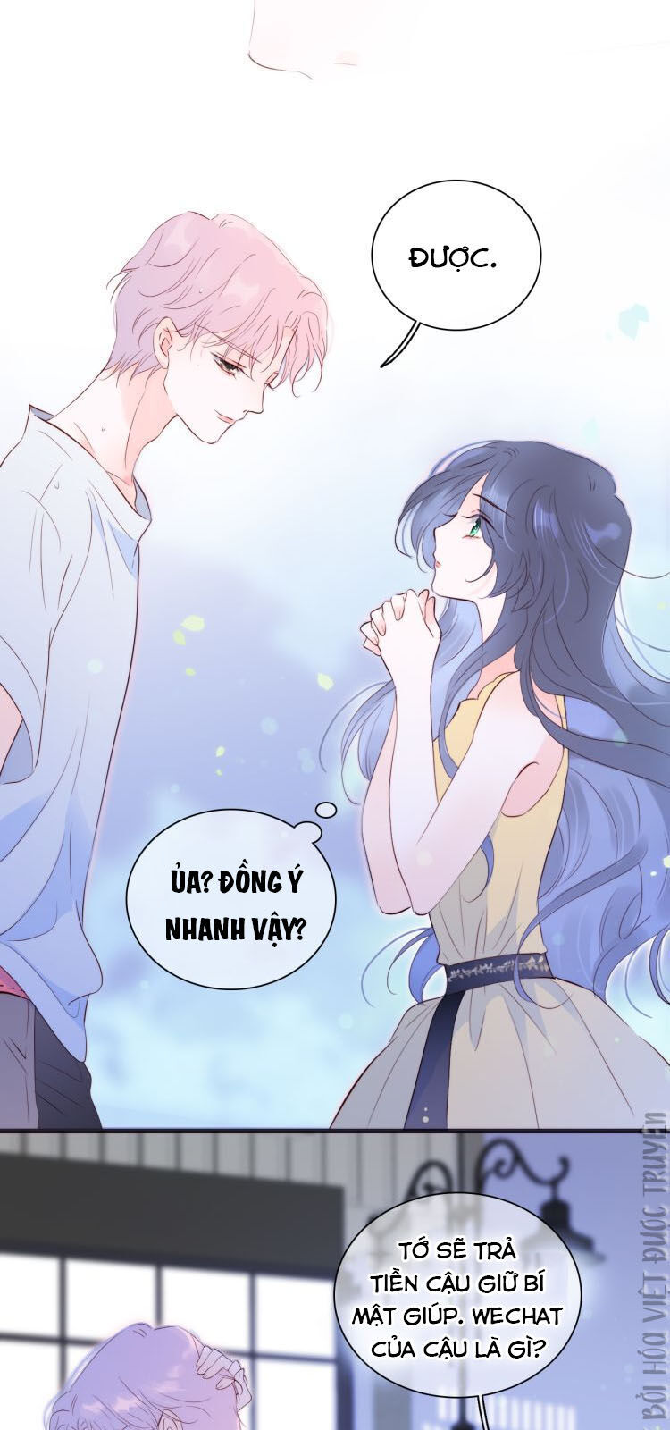 Chạy Trốn Cùng Con Nhím Chapter 4 - Trang 2